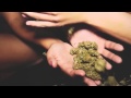 Ludacris - Party Girls Jeftuz remix Music Video ft. Wiz Khalifa & Jeremih | AcidBull