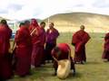 Monks at holydays in Shamarpa monastery