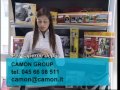 Animali e viaggi in auto Animali e viaggi in auto