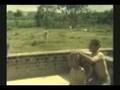 PRABHUPADA:RARE COLOR FILM:AMRITSAR:SIKH AND HINDU UNITE1970