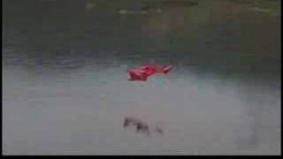 graupner hydroplane rc flying boat