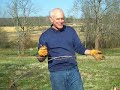 Pruning & Controlling a Climbing Rose