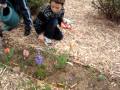 miniature