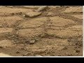 Mars Curiosity Latest. Living Dinosaur on Mars? February 14 2013