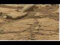 Mars Curiosity Latest. Living Dinosaur on Mars? February 14 2013