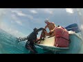 Bahamas Spearfishing 2012 - Part 2 - Narrated by Ted's HoldOver
