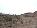 
TIBURONES MTB..