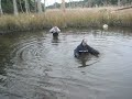 Crossing Strawberry Creek