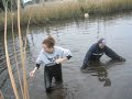 Crossing Strawberry Creek