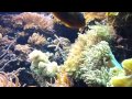 New York Aquarium - 6.16.12 - 003.mp4
