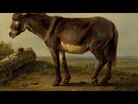 動物狂歡節-《野驢》Saint-Saens: Carnival of the Animals~Hemiones (animaux veloces) Wild Asses - YouTube