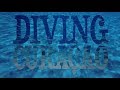 Diving Curacao | 