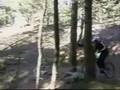 
corto de lenteja team
f