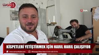 Kispetleri yetiştirmek için harıl harıl çalışıyor