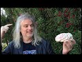 Mindville: Philosopher David Chalmers on the Evil Genius and the brain in a vat