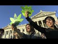 Uruguay Legalizes Pot To Quell Drug Trafficking