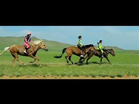 Trip to Mongolia