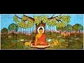ANIMALS AND THE BUDDHA