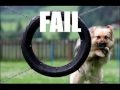 Failed Compilation - Lustige Bilder # 3