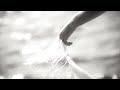 Sting - Fields of Gold (HD)