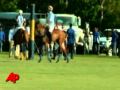 Le prince Harry chute de cheval lors d une partie de polo et ca le rend fou de rage !