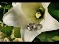 NEW 2009 Aghany A3ras- اعراس wedding song arabic