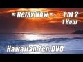 ZEN MEDITATION RELAXATION #1 Relax Ocean Relaxing Wave Sounds Music Hour Hawaiian Waves Playlist