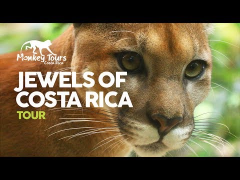 Jewels of Costa Rica