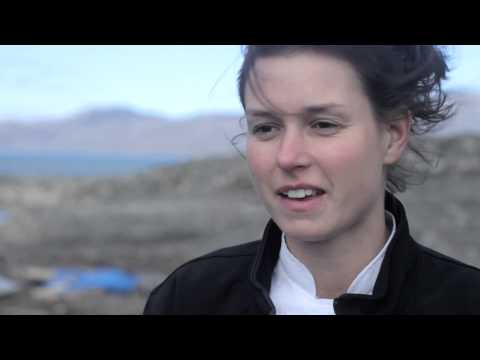 Polar Bears & Glaciers of Baffin Island