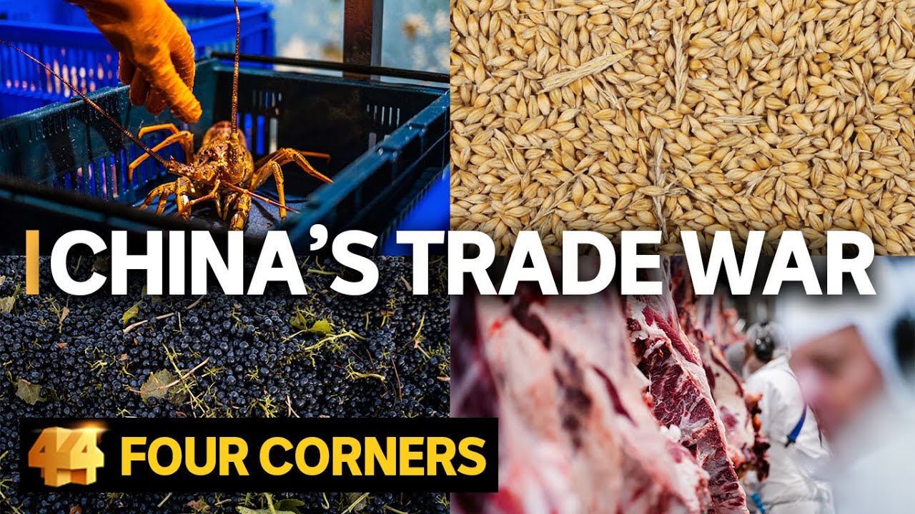 Why is China Punishing Australia? The Human Impact of the Trade War | Four Corners