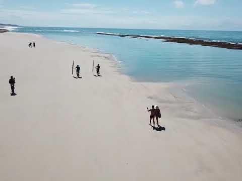 Main Page Video