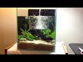 2. Making a Nano Red Cherry Shrimp Planted Aquarium