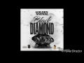 Golden Animal-fresh out freestyle prod. By @BeatsbySeismic
