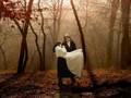 Hungarian suicide song-Gloomy Sunday Sarah McLachlan