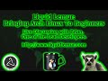 Liquid Lemur: Chat with Lead Developer