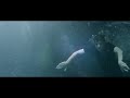 The xx -