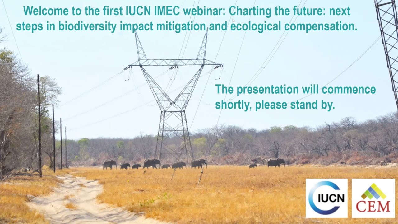 Charting the future: next steps in biodiversity impact mitigation and ecological compensation video thumbnail