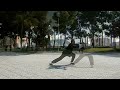 DAHT TING BOK KWA KUEN - Choy Lee Fut Alicante