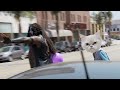 Loiter Squad: Black Metal