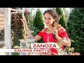 Zanoza - Kalinka Party 2017