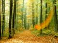 Channeling higher energies & automatic writing Magic Video