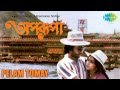 Pelam Tomay | Aparupa | Bengali Movie Song | Amit Kumar, Arati Mukherjee