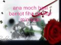 ajmal 7ob.wmv