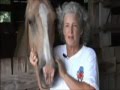 OMFG! Black man caught raping horse!?