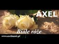 Axel - Białe róże (Audio)