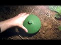 Earwig trap that has results.