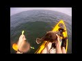 Casting for Fluke with Bucktails and Gulp