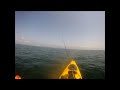 Casting for Fluke with Bucktails and Gulp