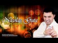 Nicolae Guta - Hai cu Sampania (HIT)