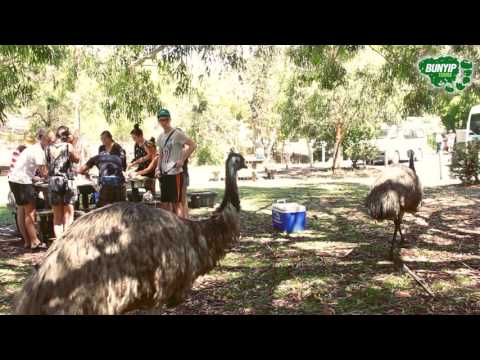 Bunyip Tours 3 Day Great Ocean Road and Grampians Adventure from Melbourne